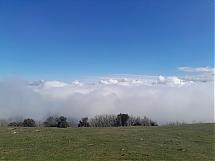 20260308_120553.jpg