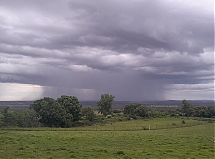 20260603_194306.jpg