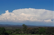 20260603_201303.jpg